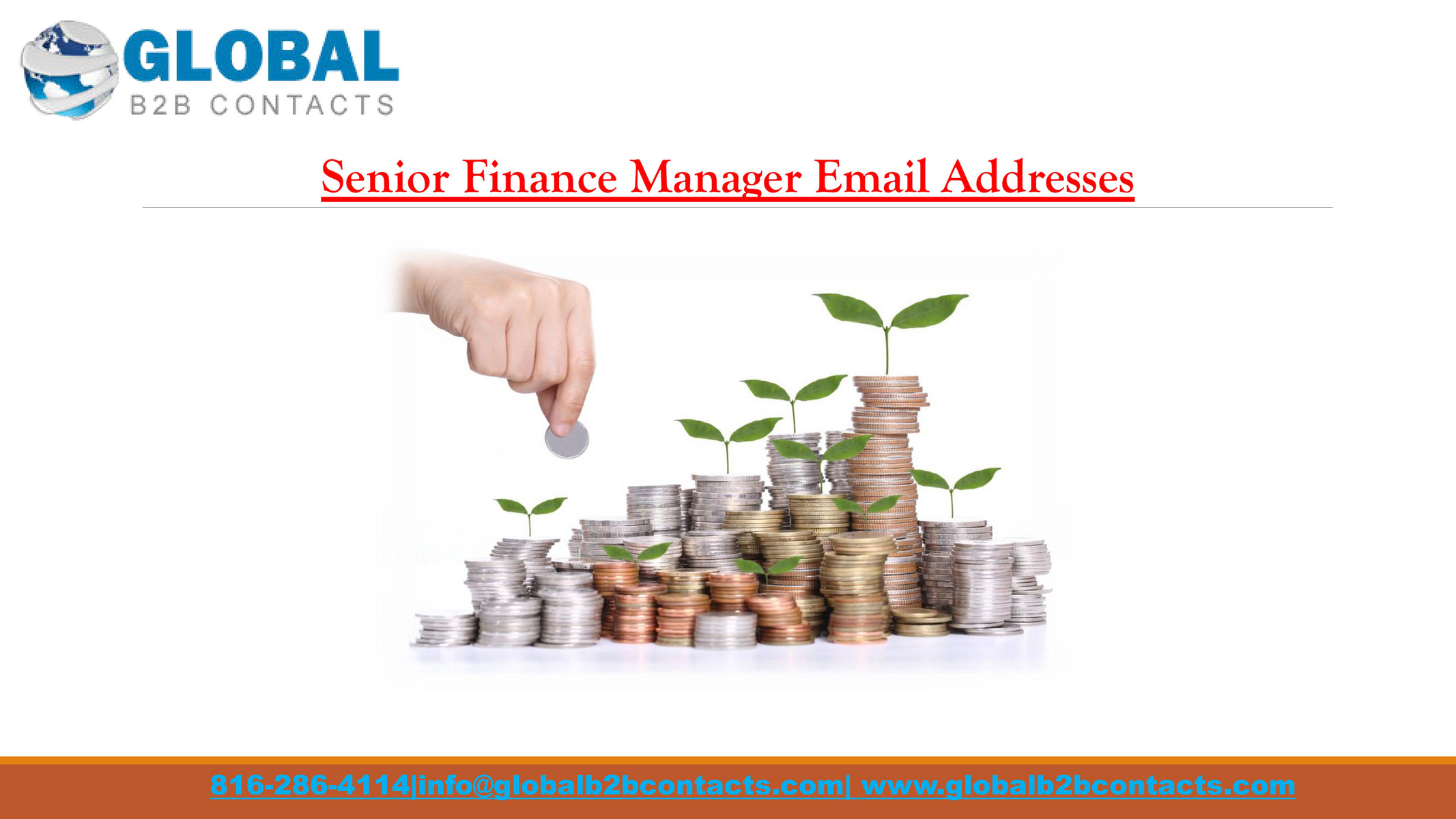 globalb2bcontacts-senior-finance-manager-email-addresses-page-1