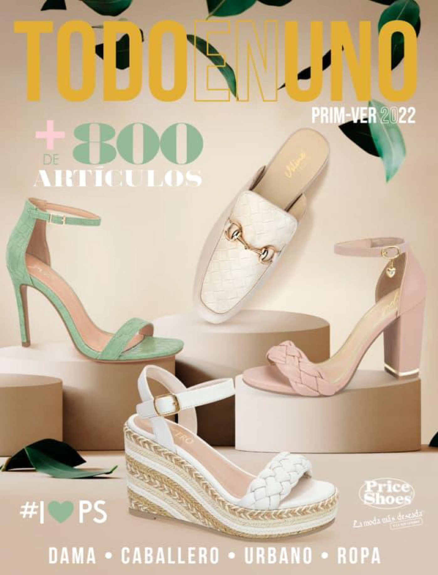 Catalogo todo en uno 2025 price shoes 2019 pdf