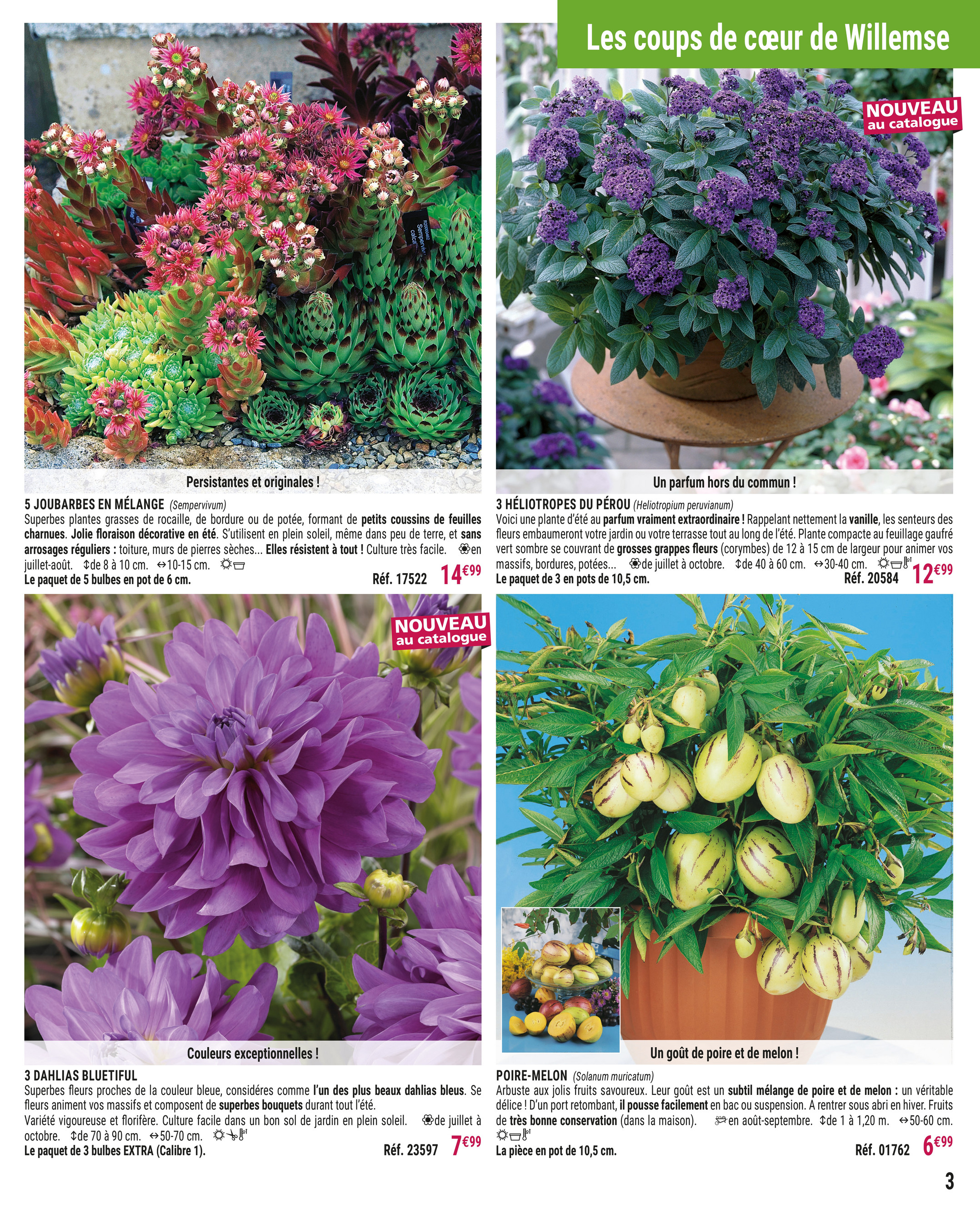 Willemse Catalogue Pe20 Page 6 7 Created With Publitas Com