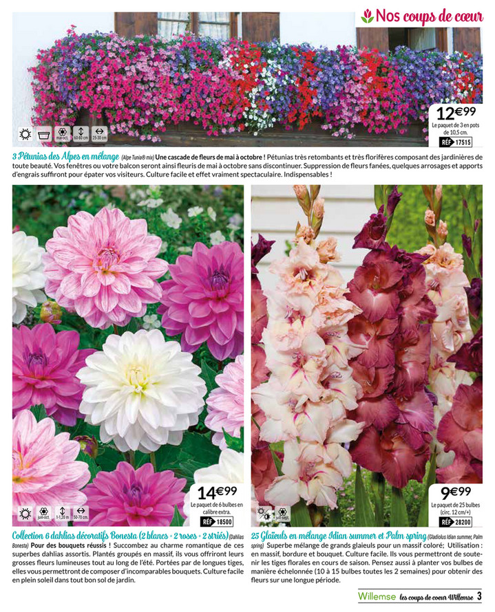 Jardinerie en ligne Willemse France Résultat de Anciens Et Réunions
