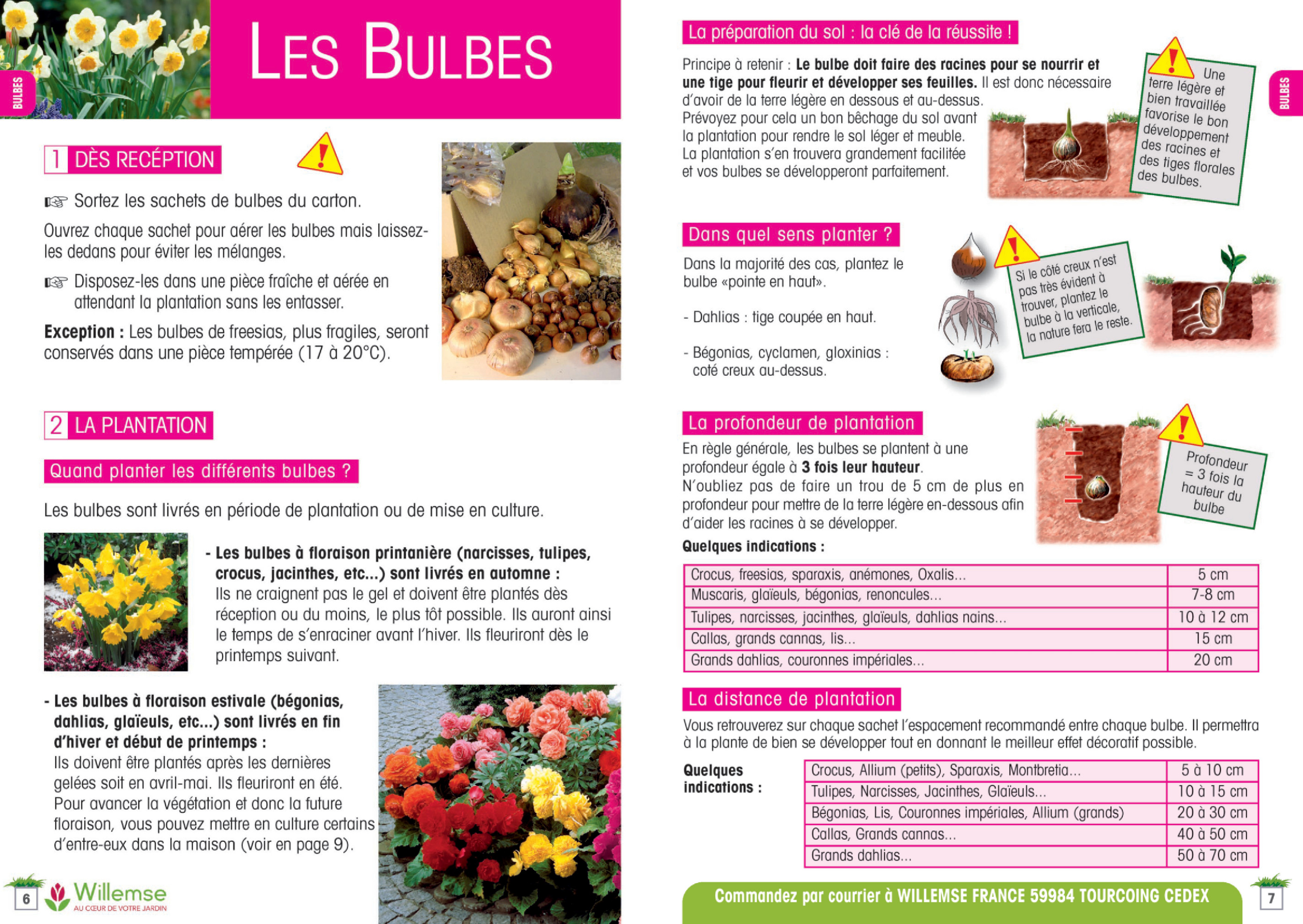Willemse - Guide de jardinage Willemse - Page 19 - Created with Publitas.com