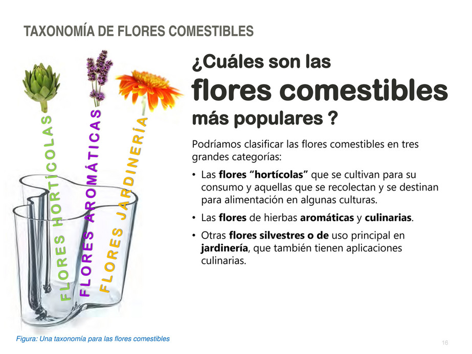 My publications - Flores en el plato - Página 15 - Created with 