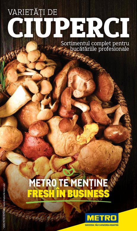 Catalog Varietăți de Ciuperci