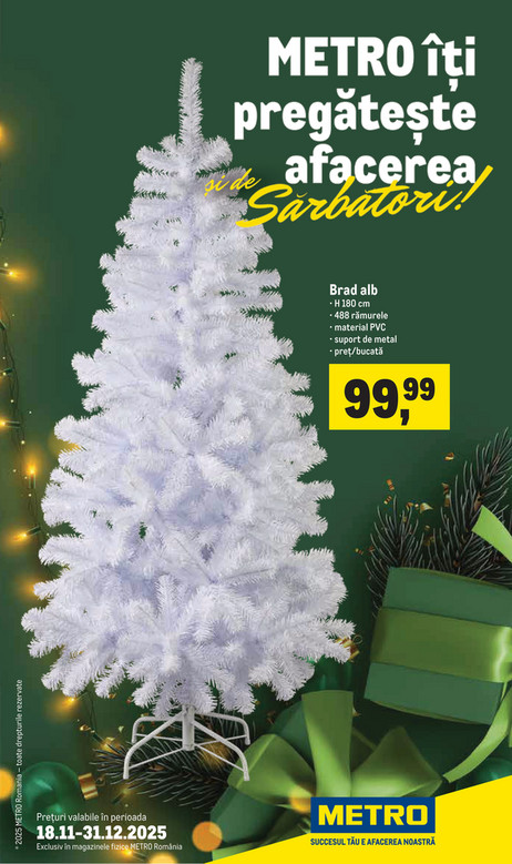 Catalog Decorațiuni pentru Crăciun