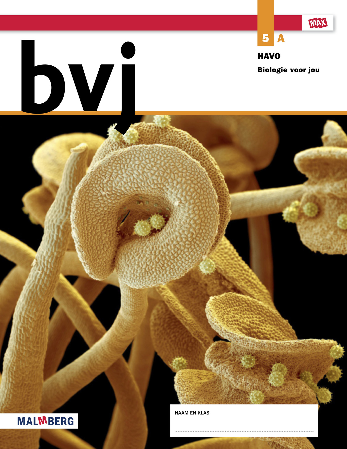Malmberg Biologie Voor Jou Havo 5 Leeropdrachtenboek A Pagina 1