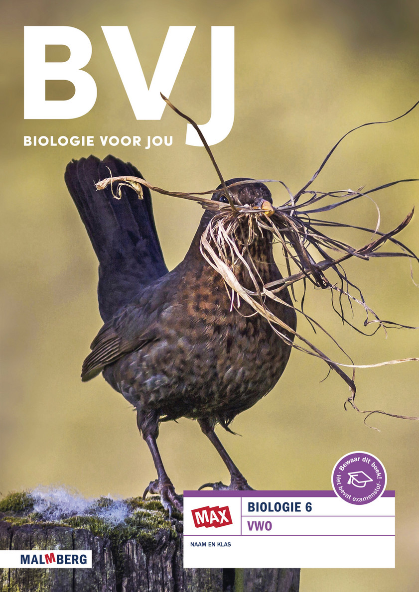 Malmberg - 606850-03_BVJ_6VWO_LOB_Bladerboek