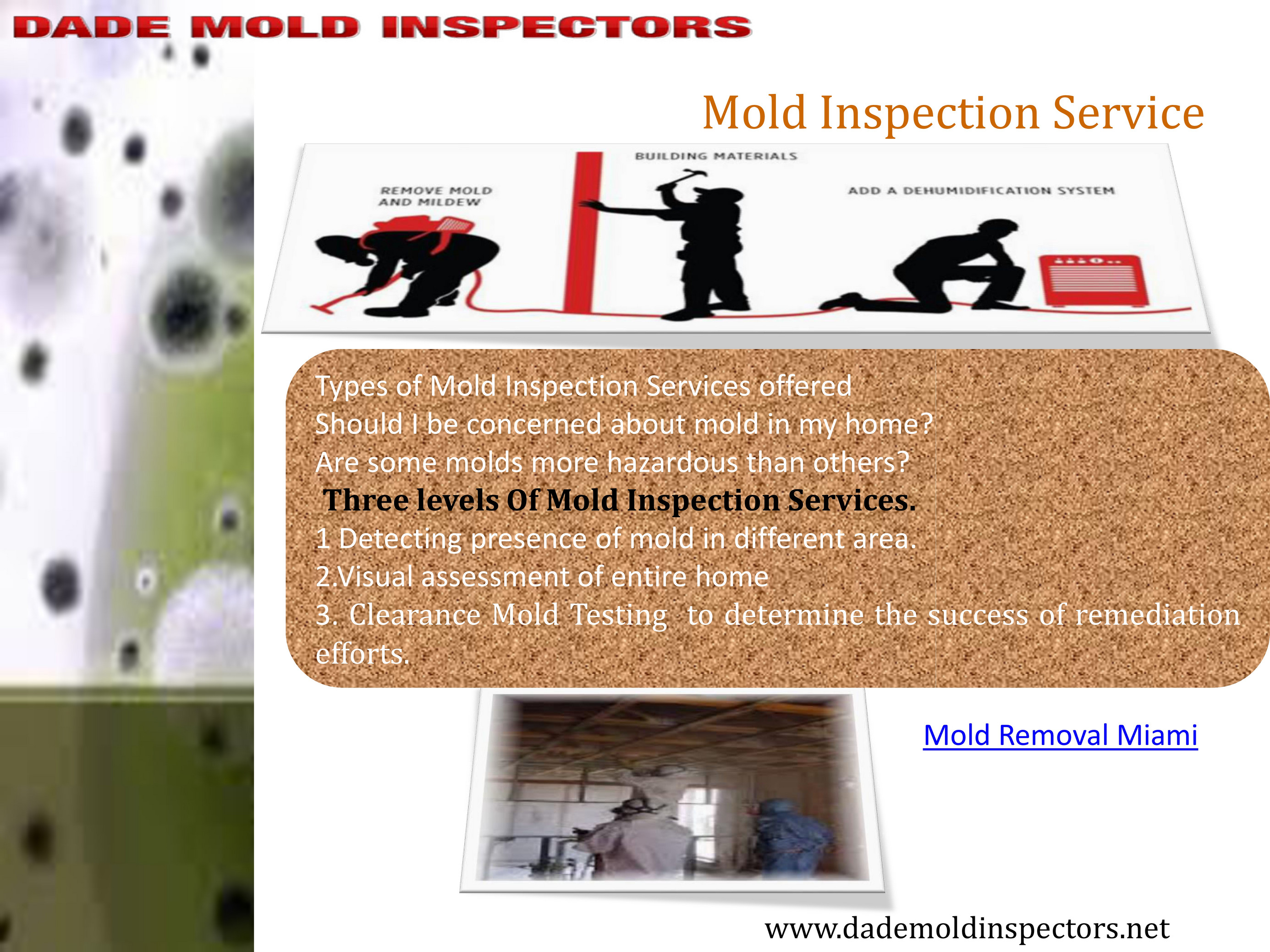 Mold Inspection & Testing Miami Florida - Mold Inspection & Testing