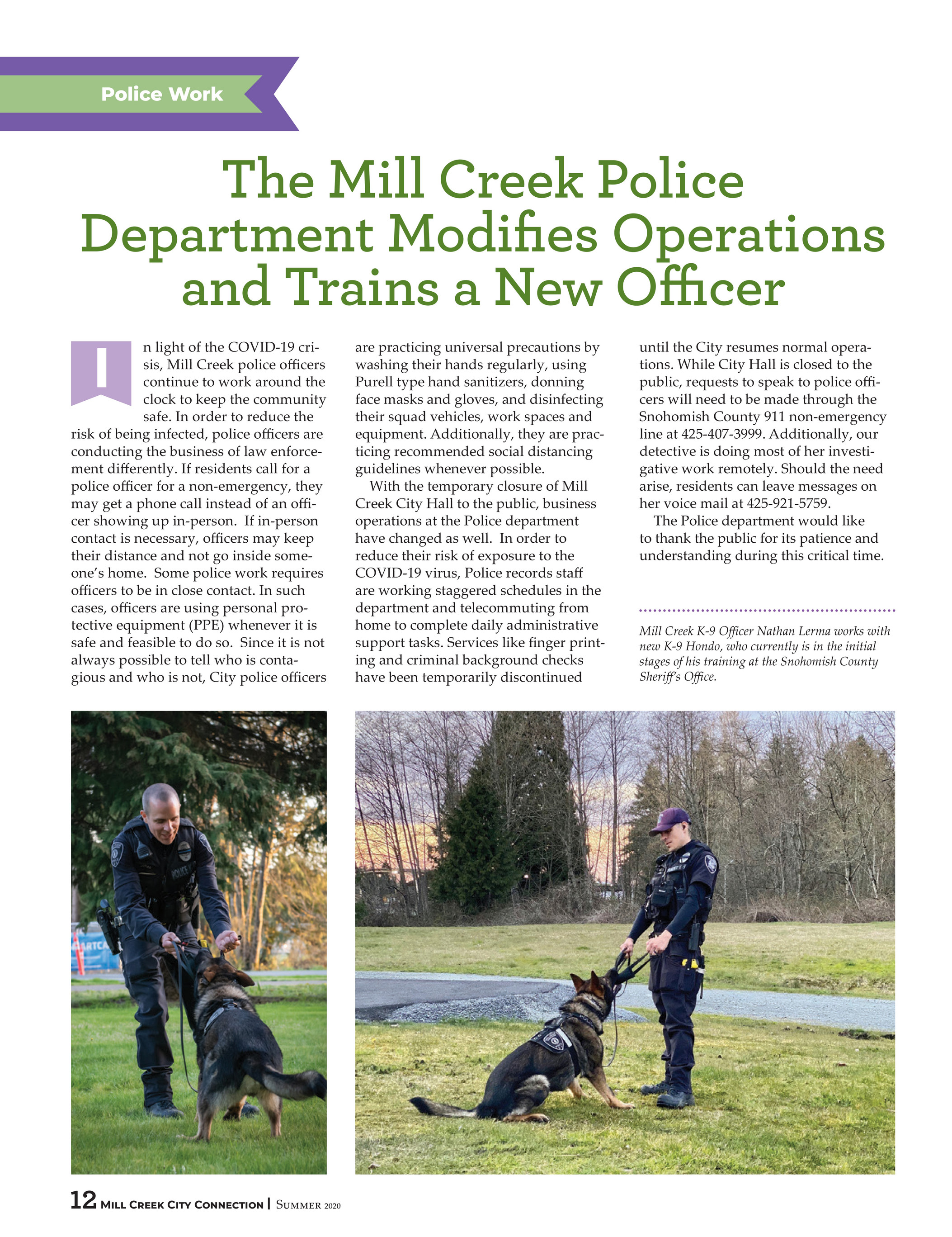 mill creek rottweilers