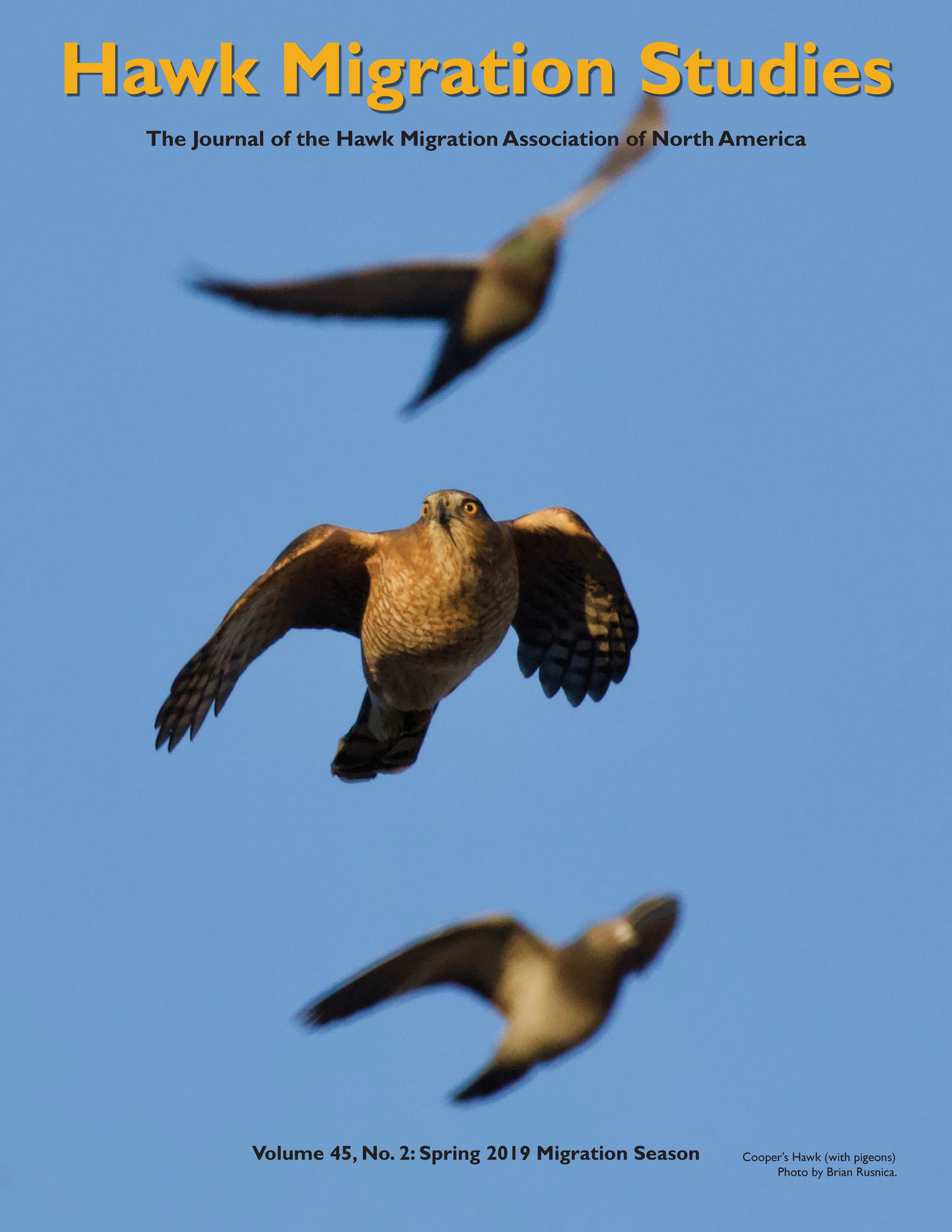 HMANA - Hawk Migration Studies, Vol. 45, No. 2 - Page 1