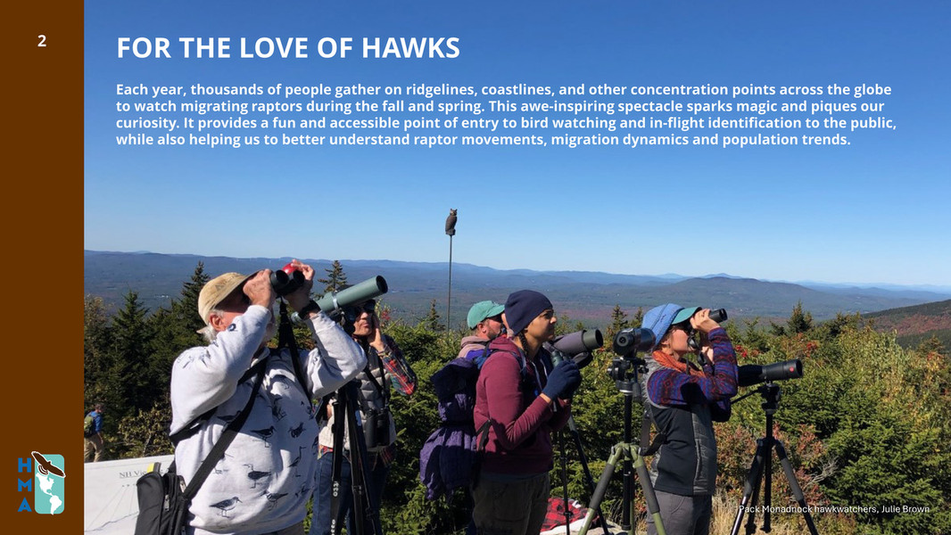 HMANA - Hawk Migration Association Annual Report 2025 - Page 2