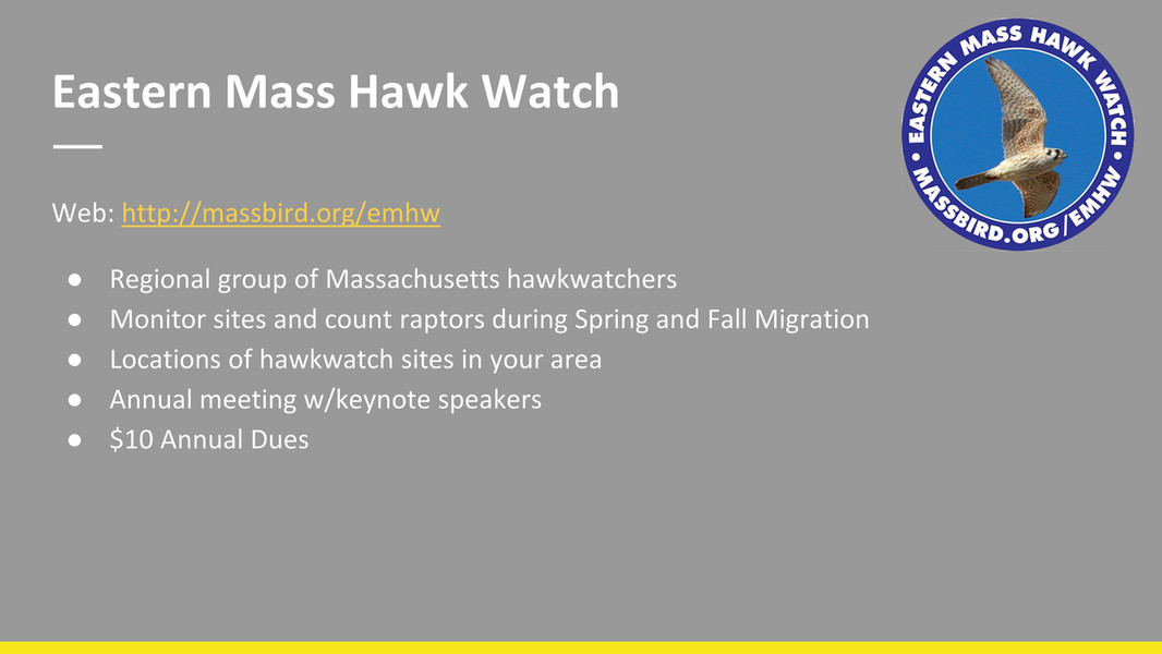 HMANA - HMANA Raptor ID and Hawk Migration - Page 128