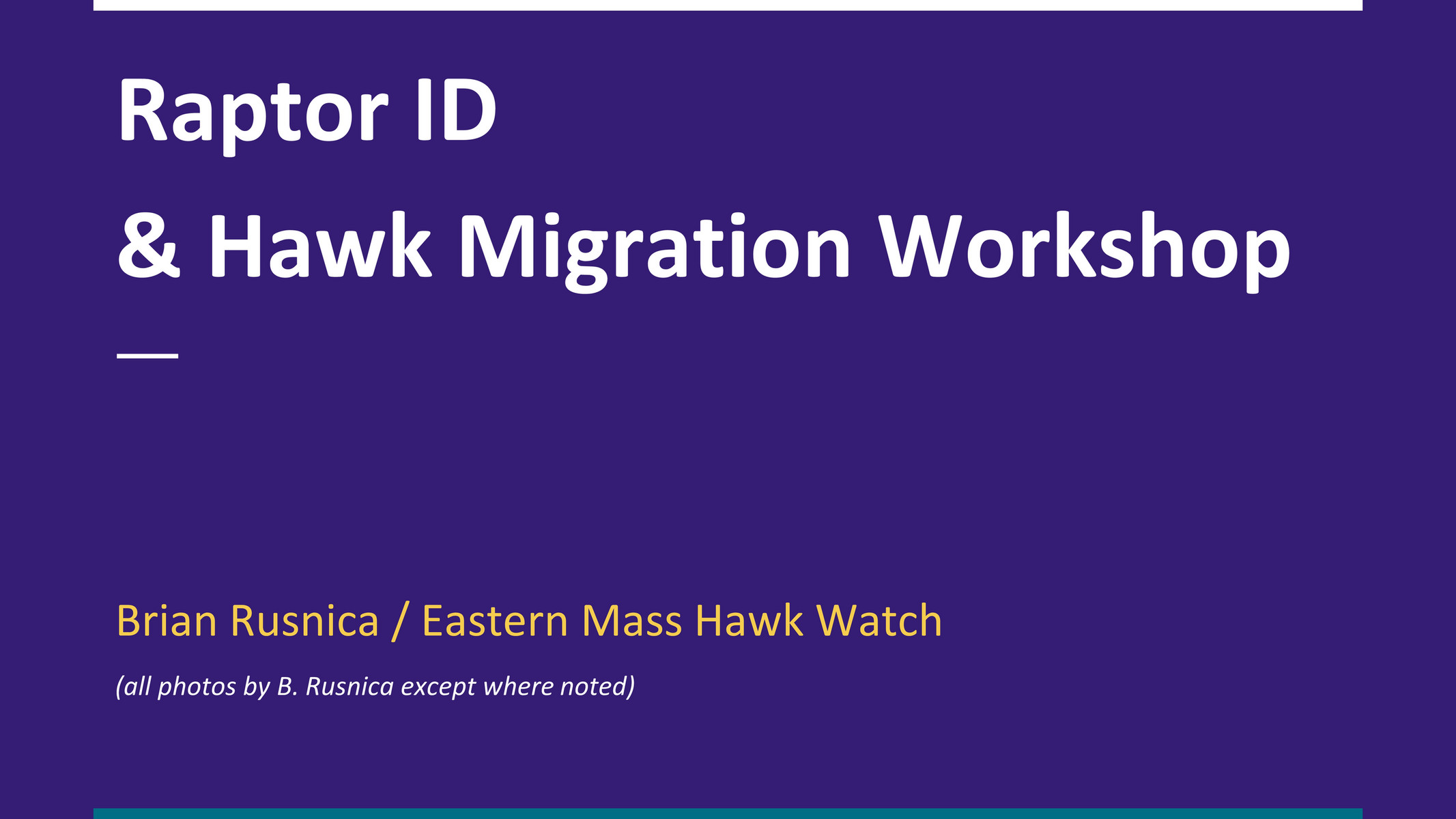 HMANA - HMANA Raptor ID and Hawk Migration - Page 37