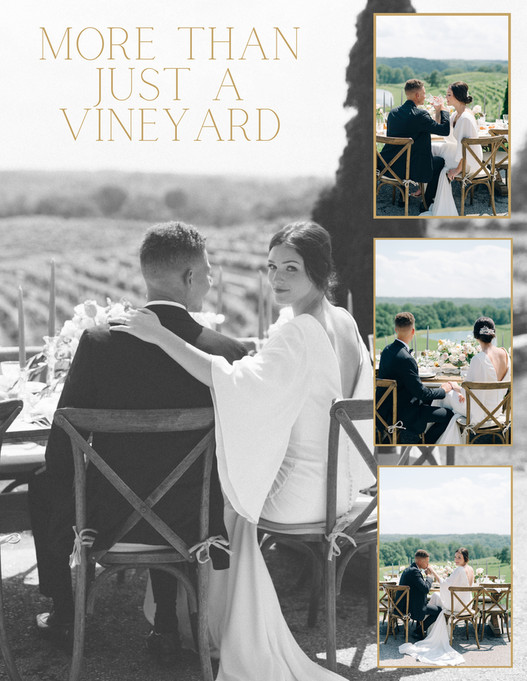 Montaluce Winery Montaluce Elopement & MicroWeddings Information