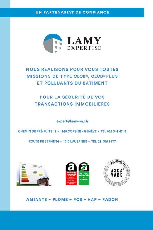 Lamy Expertise Avis