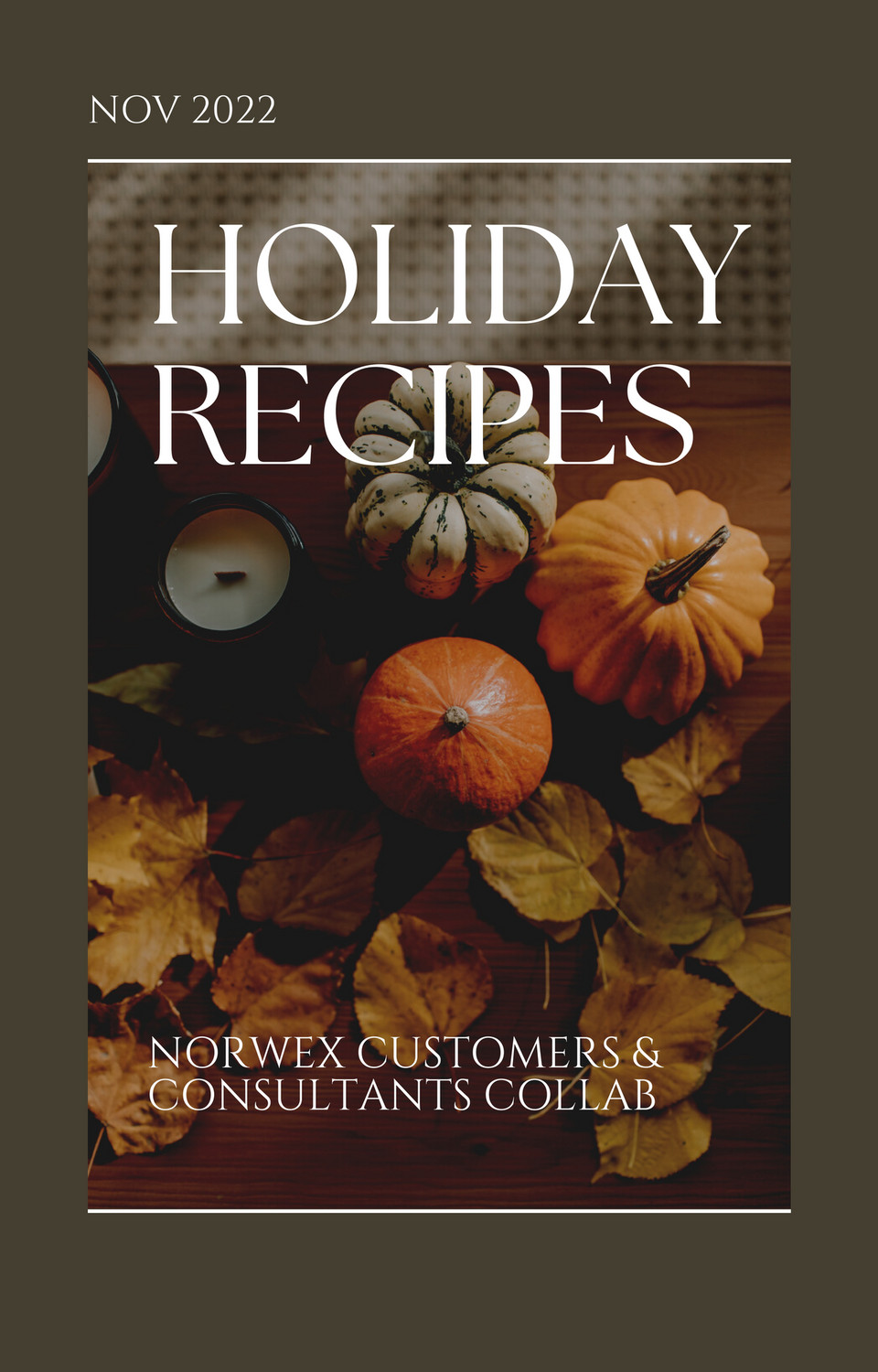 Norwex Holiday 2022 Catalog