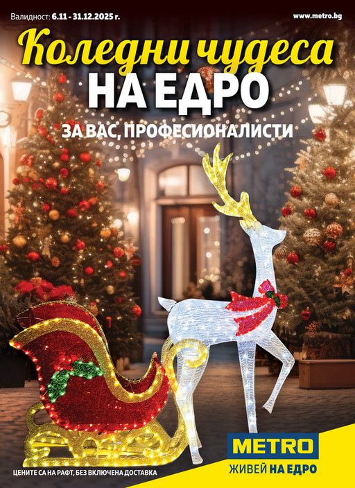 Коледна декорация за професионалисти