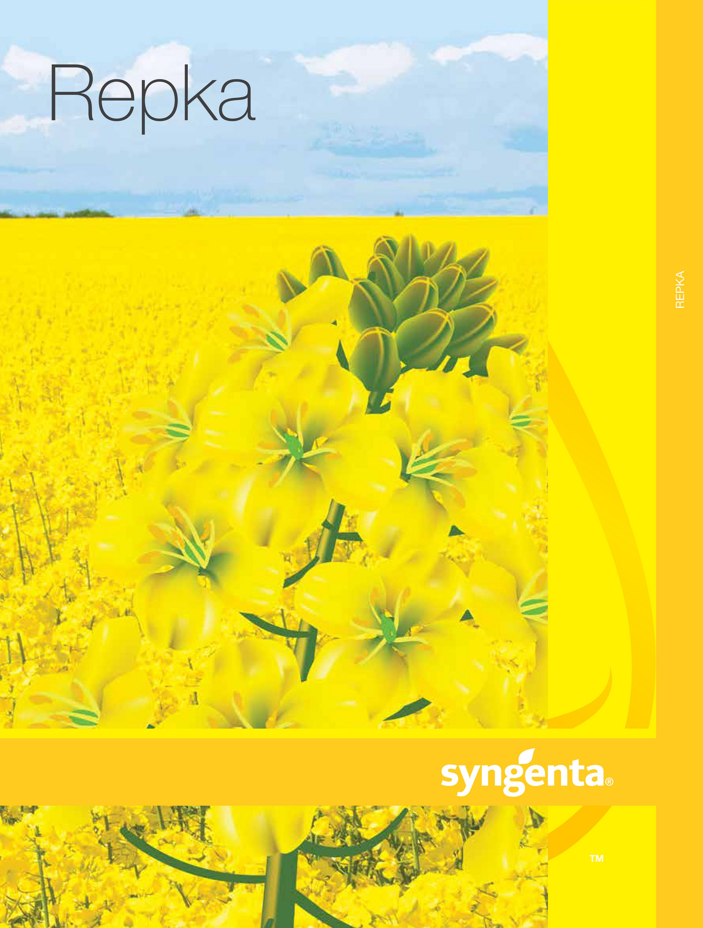 Syngenta - Syngenta_katalog_Repka-min - Strana 1