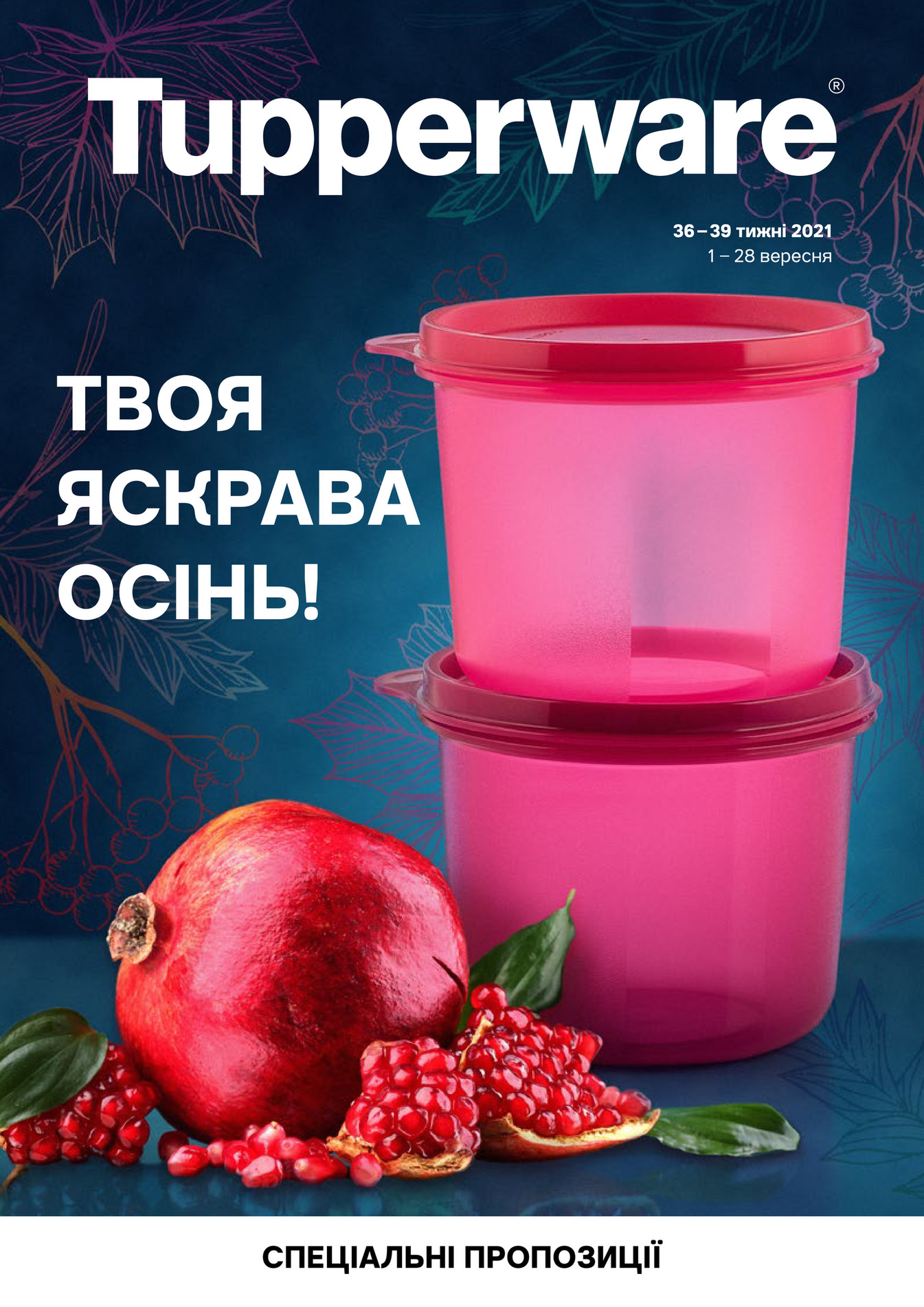 Consultant Tupperware - Спеціальні пропозиції та подарунки (36-39 тижні ...