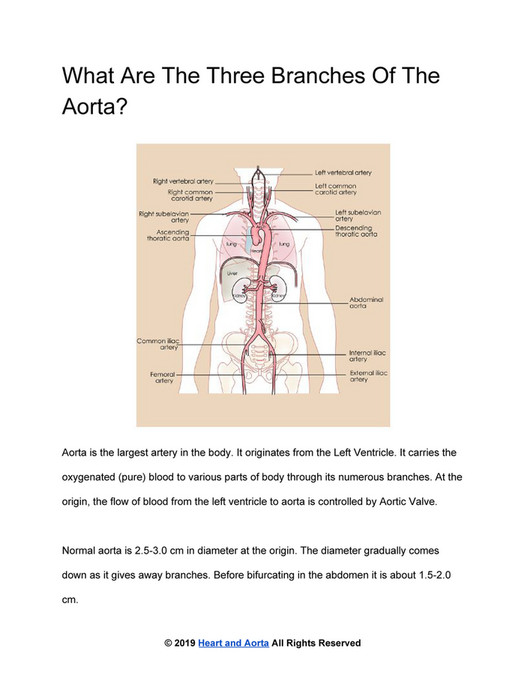 Heart And Aorta What Are The Three Branches Of The Aorta Page 1 Created With Publitas Com