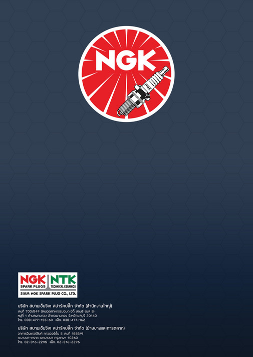 NGK Spark Plugs (Asia) 2019 4W Page 12