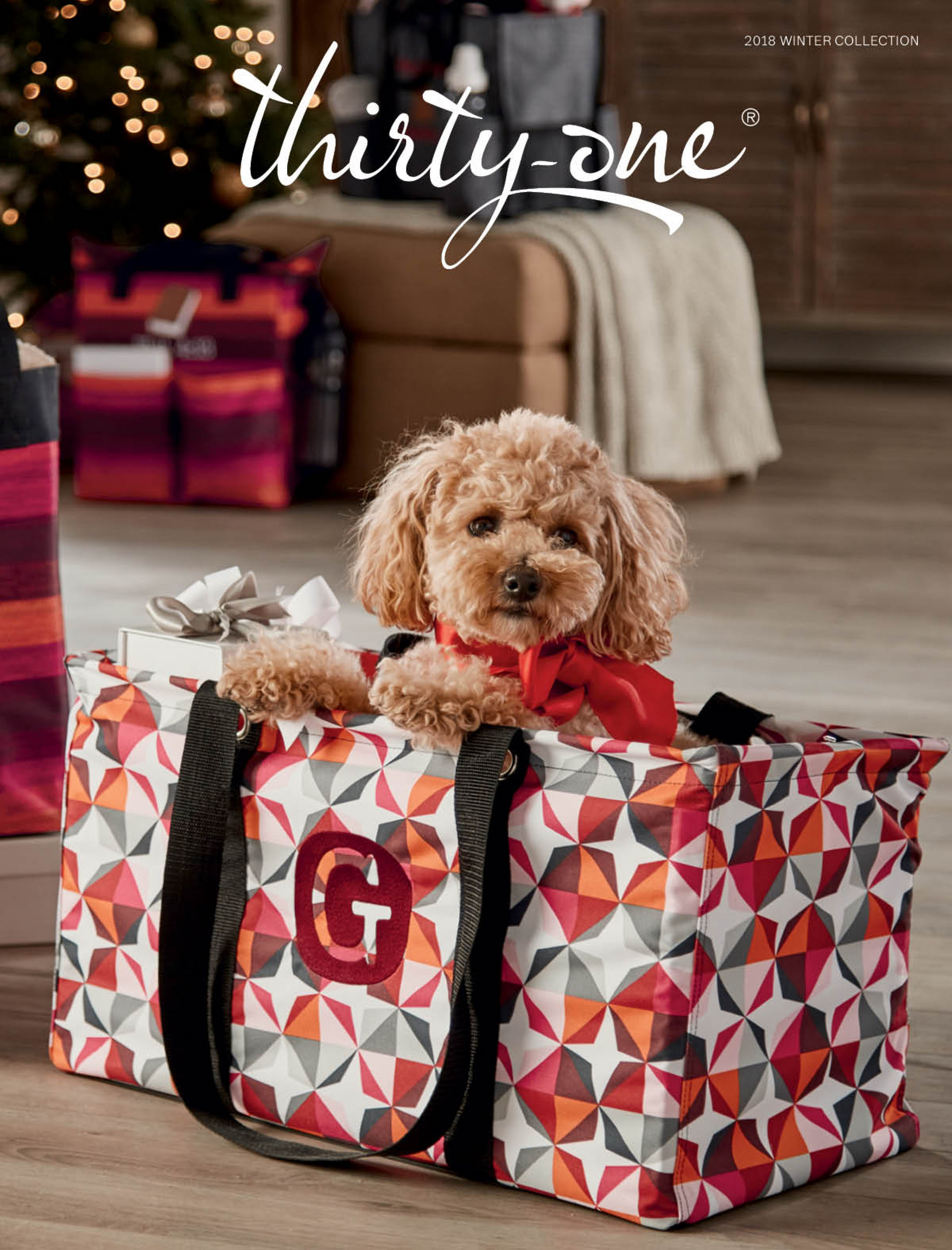 A Bag Above 2018 Winter Thirty One Catalog Page 1 Created