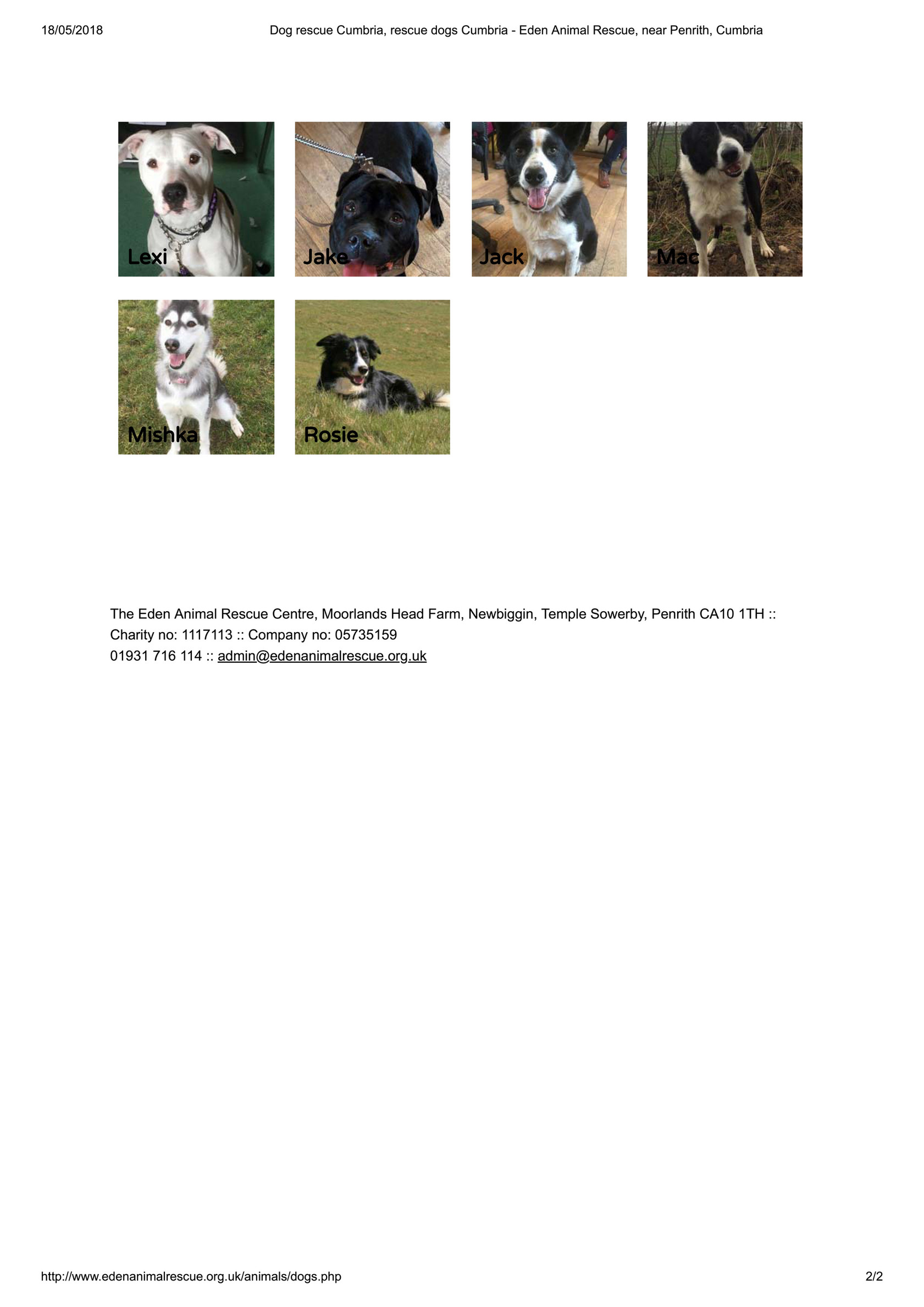RACM - Dog rescue Cumbria, rescue dogs Cumbria.. - Page 1 - Created with  