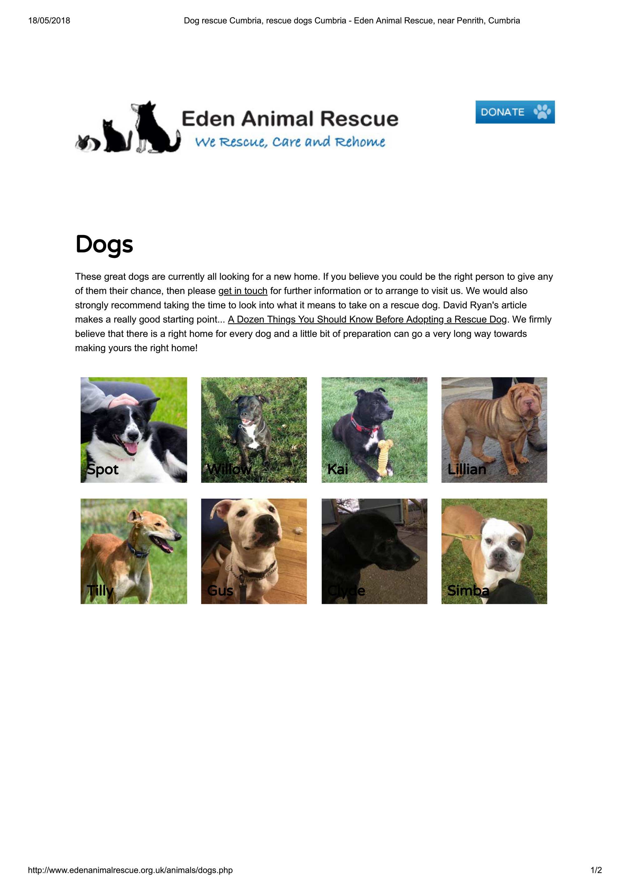 RACM - Dog rescue Cumbria, rescue dogs Cumbria.. - Page 1 - Created with RACM - Dog rescue Cumbria, rescue dogs Cumbria.. - Page 1 - Created with