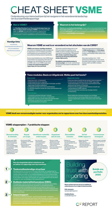 Cheat sheet VSME - Pagina 1
