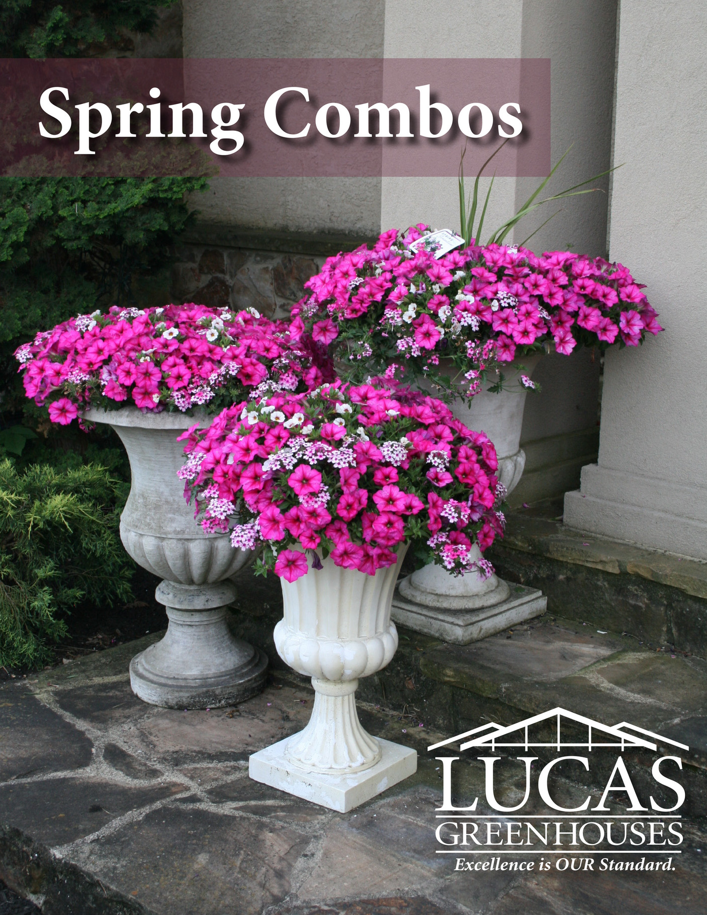 Lucas Greenhouses Lucas Greenhouses 2016 Spring Combos Page 1