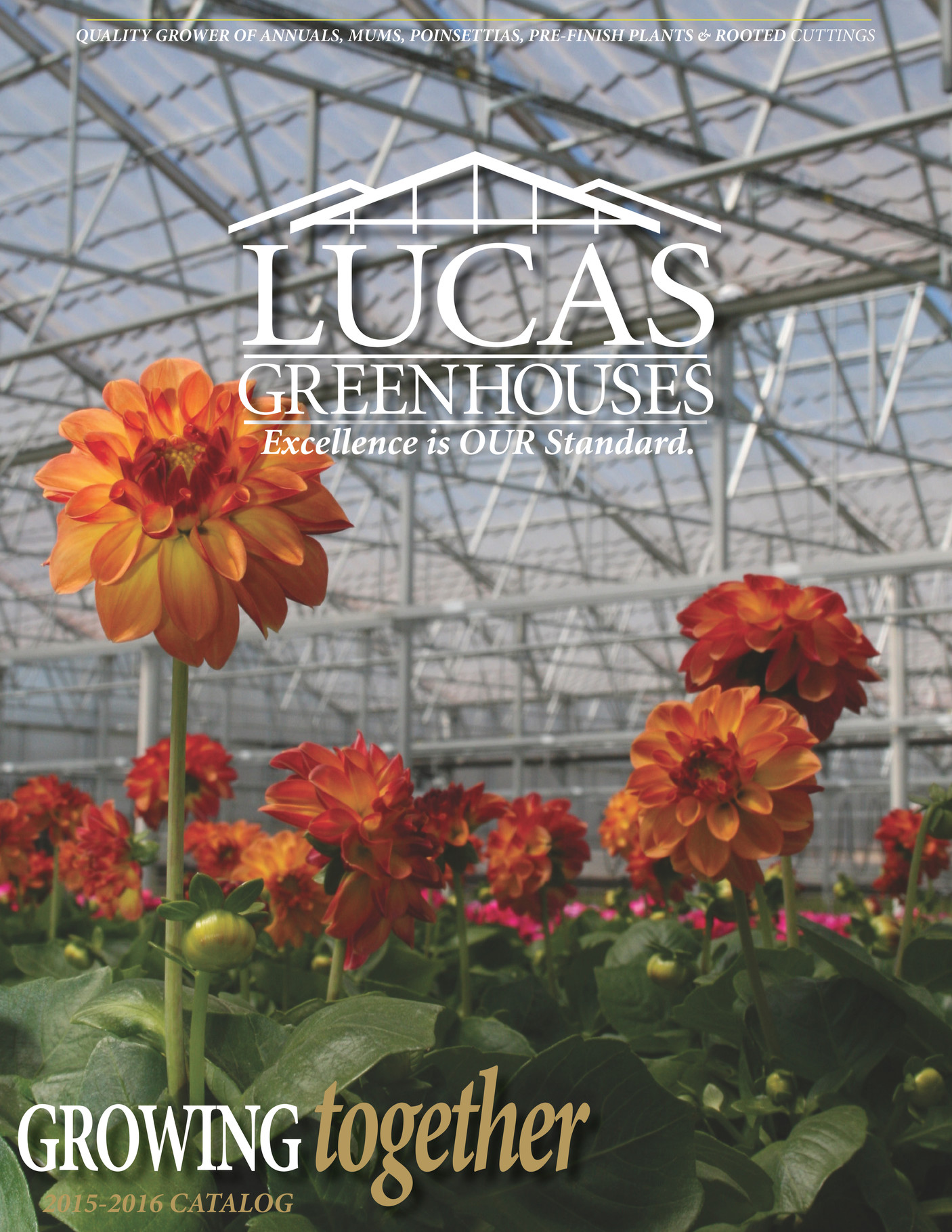 Lucas Greenhouses 20152016 Lucas Greenhouses Catalog Page 1