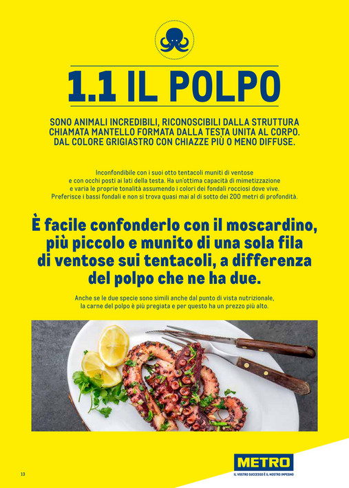 Catalogo Surgelati 2025 - Pagina 13