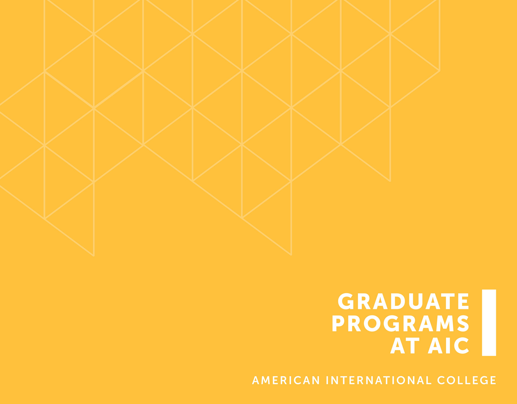 American International College - AIC Grad Viewbook 2020 - Page 1