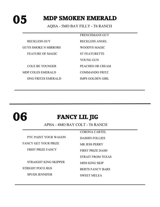 Elkhart Horse Auctions 2024 CATALOG Page 67