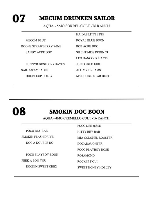 Elkhart Horse Auctions 2024 CATALOG Page 67