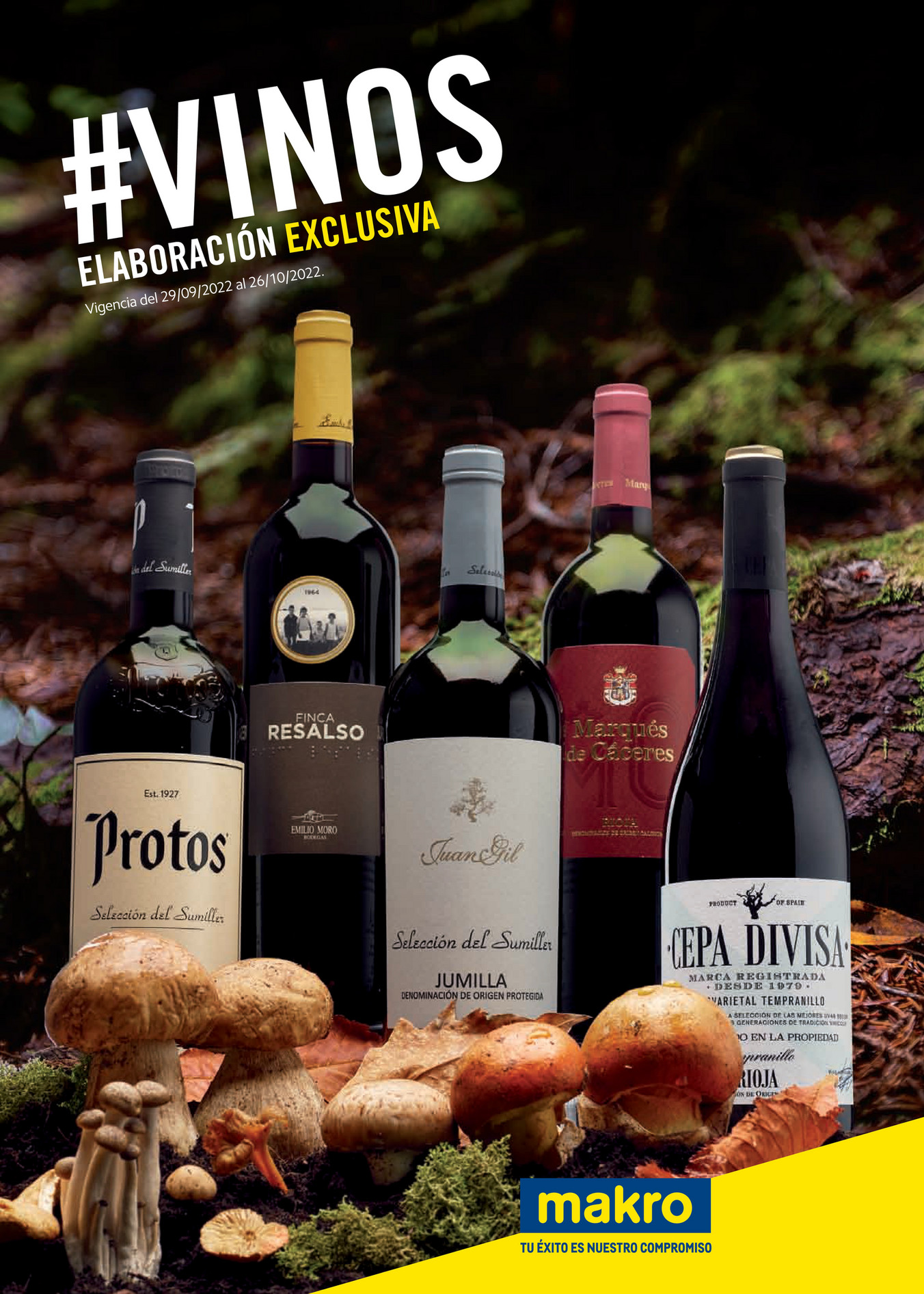Makro España Comunicación Especial Vinos de Otoño Página 1