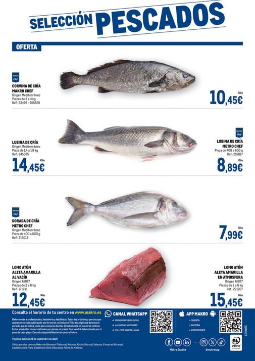 Makro Fresco Levante