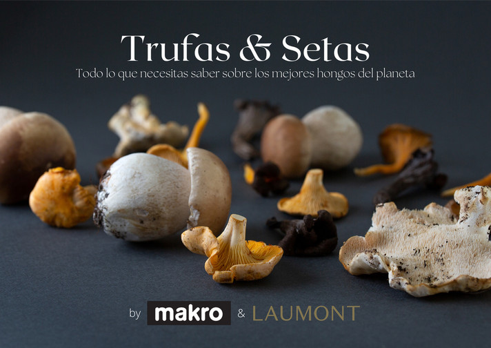 GUIA  DE TRUFAS Y SETAS MAKRO - MAKRO