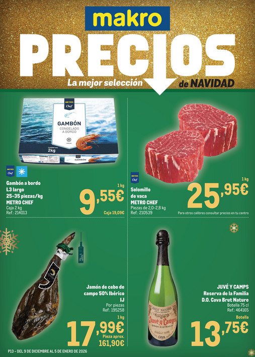 Makro Precios Especial Sur 2