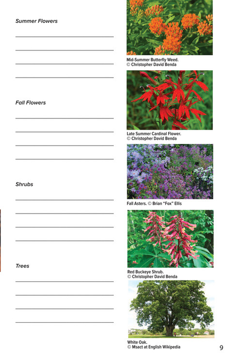 Cronan Ranch Plant Identification Guide Worksheet.pdf Illinois Audubon Society - Begin Your Journey to Habitat Restoration ...