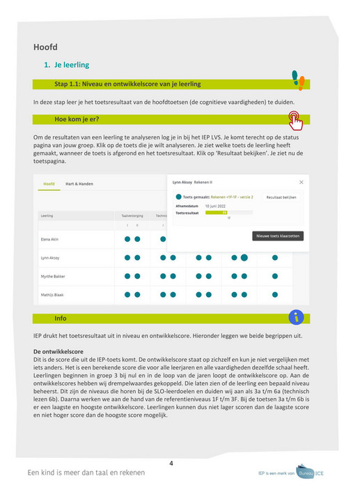 Bureau Ice Iep Lvs Stappenplan Resultaten Analyseren Fase Pagina