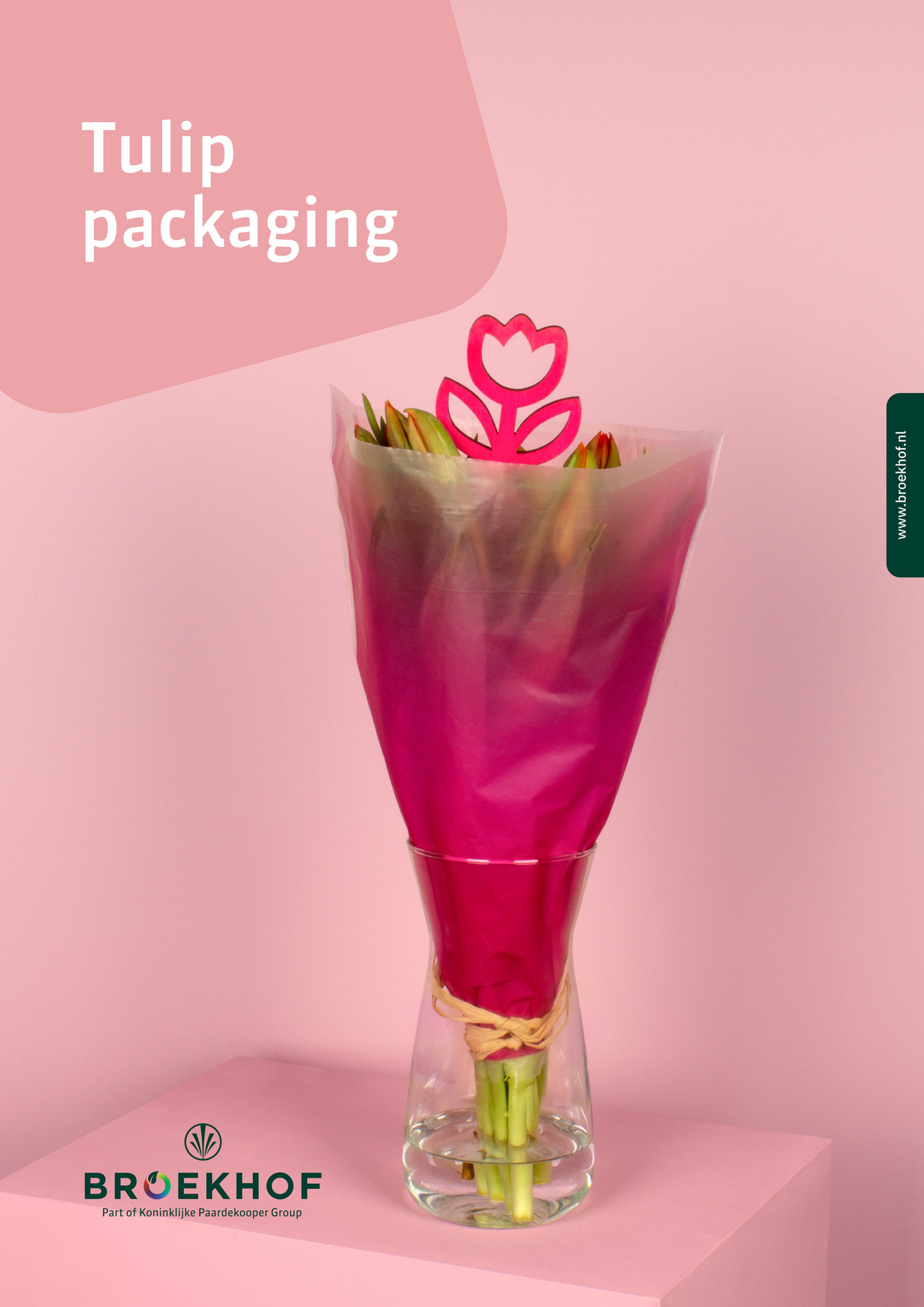 Broekhof broekhof brochure tulip packaging 2023 page 2 3