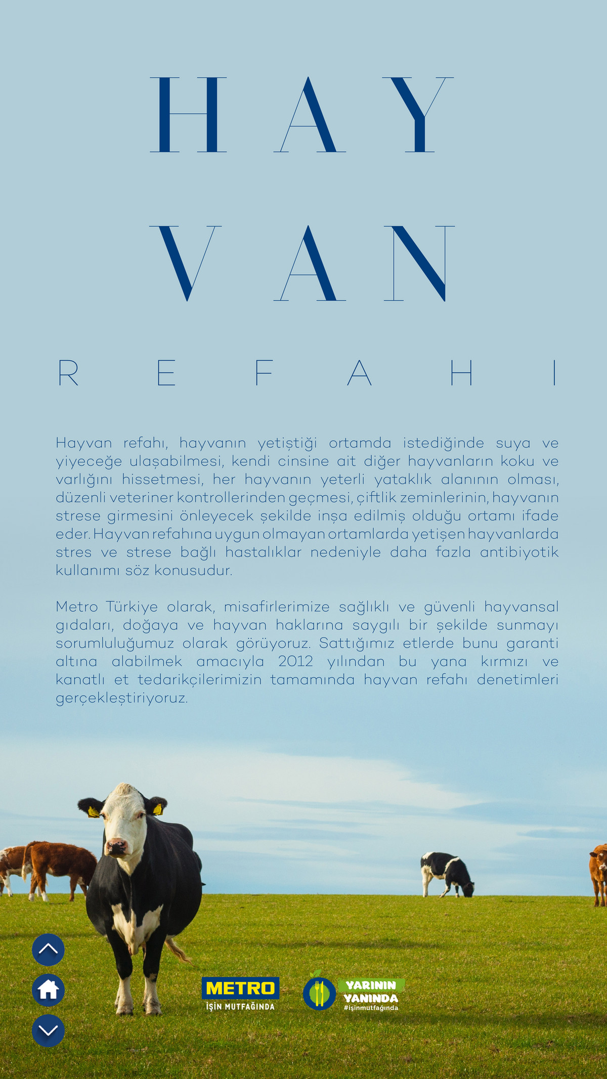 Sürdürülebilir Ürünler Kataloğu - Sayfa 19