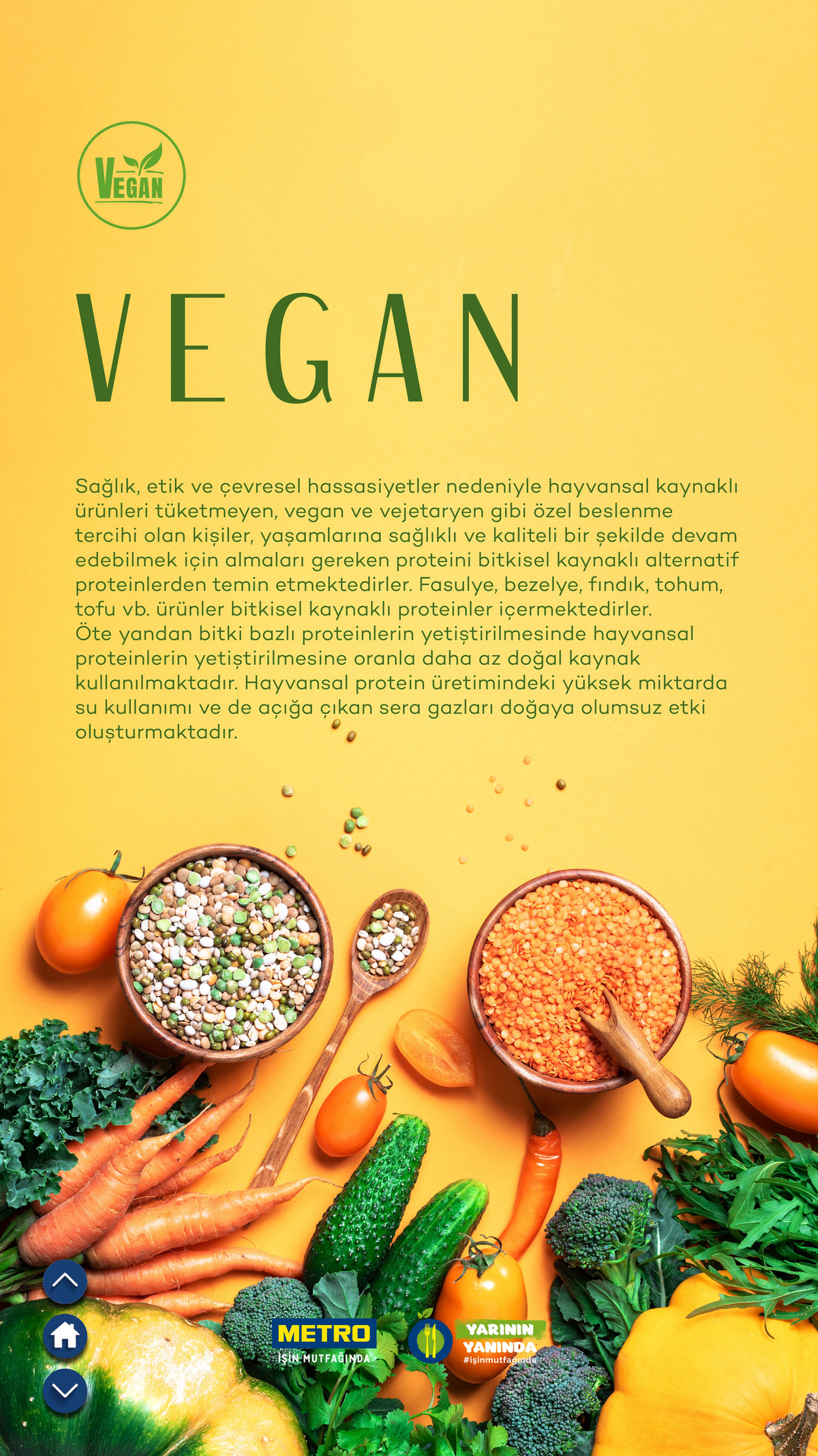 Sürdürülebilir Ürünler Kataloğu - Sayfa 31
