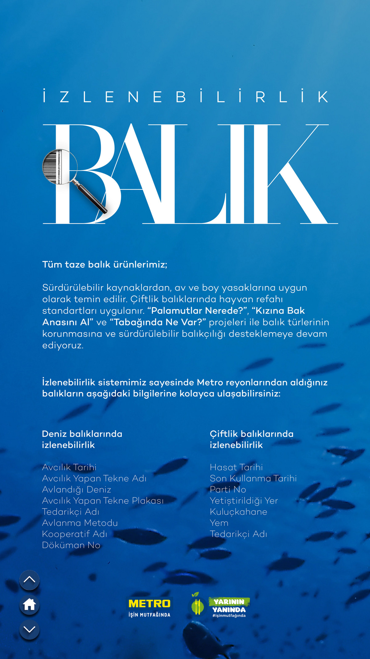 Sürdürülebilir Ürünler Kataloğu - Sayfa 24