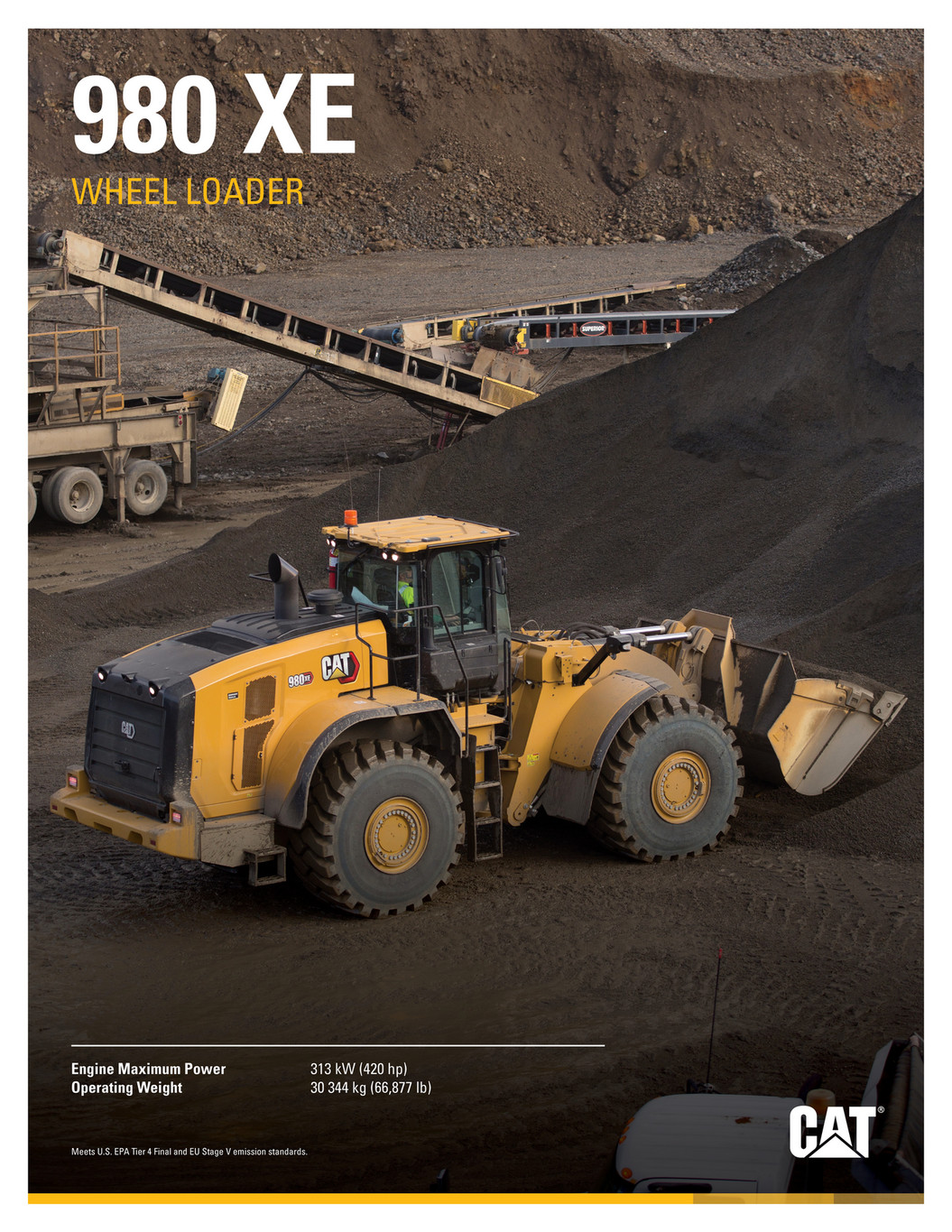 Cat　　準備中 134214c2-005e-4307-a321-