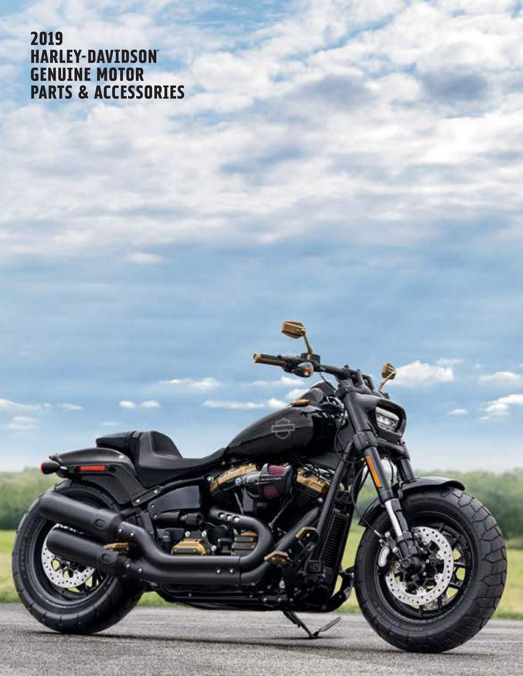 hvor ofte Terminal pensionist Harley-Davidson - catalog-motor-parts-accessories-2019 - Page 1