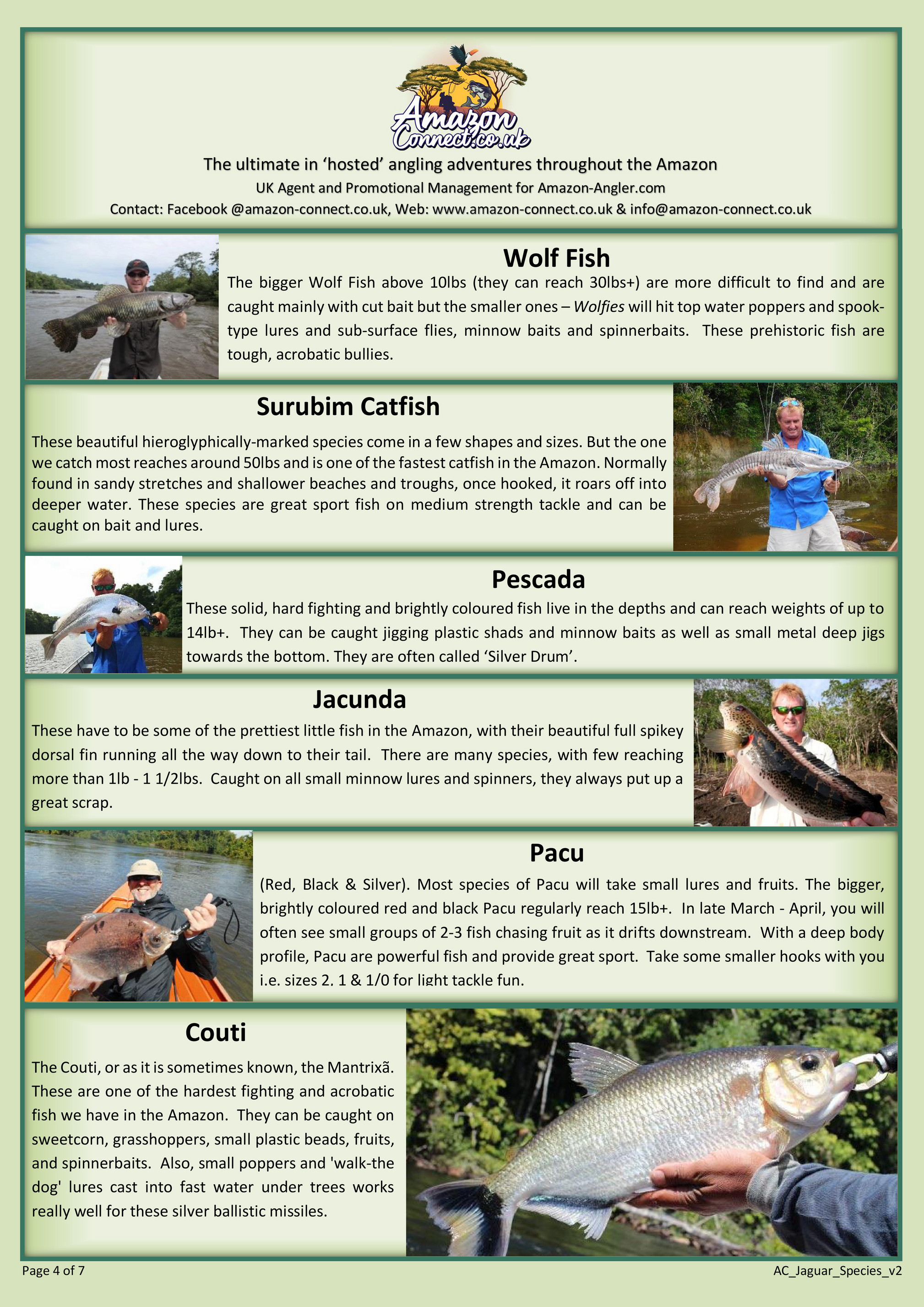 Guyana Jaguar Camp Species Page 1