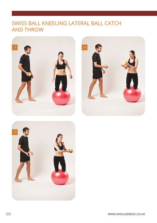 Swiss Ball Anti Rotation Shoulderdoc - Shoulder Rehab Book - Page 340-341