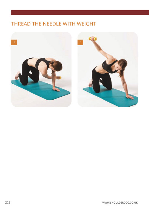 Shoulderdoc - Shoulder Rehab Book - Page 234-235