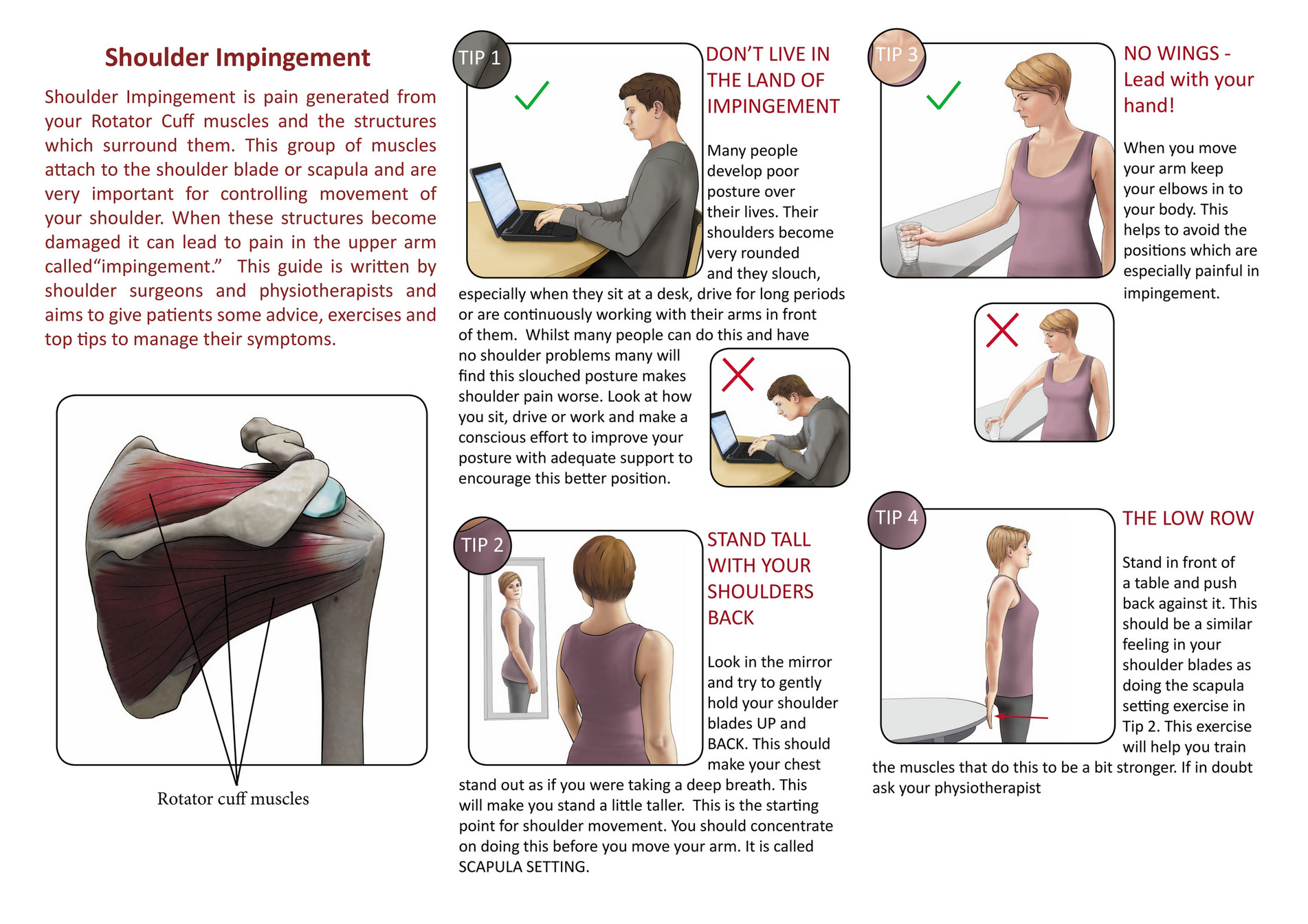 Shoulderdoc Simple Shoulder Care Leaflet Page